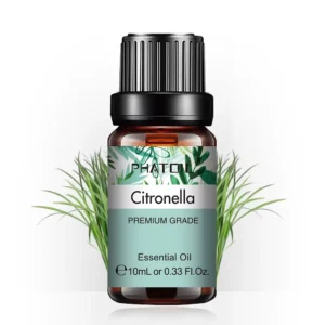 Citronnelle de Java