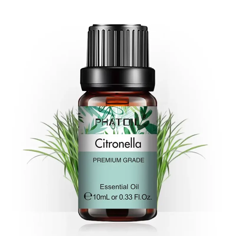 Citronnelle de Java